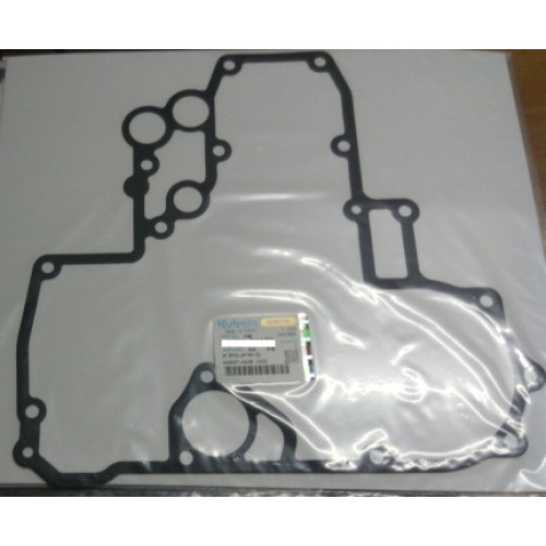 Прокладка ГРМ 7010599 Bobcat