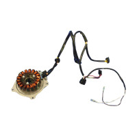 Катушка статора генератора переменного тока Bobcat, 7018852