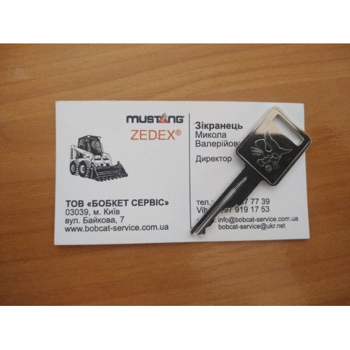 Ключ зажигания 6693241