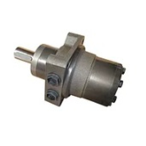 Гидромотор RW 315 CB/3