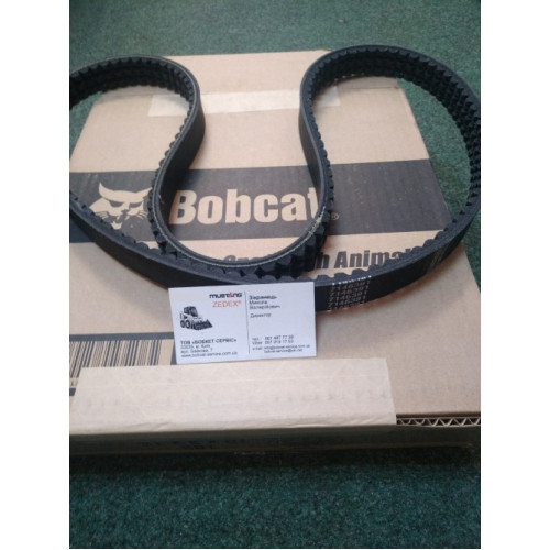Ремінь гідронасосу 7146391 Bobcat