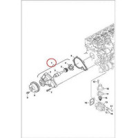 7000743 Насос водяний (без шківа) Bobcat