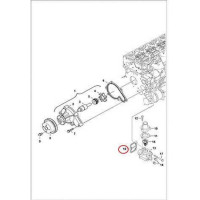 7000741 Прокладка корпусу термостату Bobcat