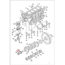 6680736 Шестерня колінчастого вала (велика) Bobcat